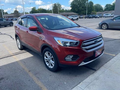 Used 2019 Ford Escape SE FWD image 3