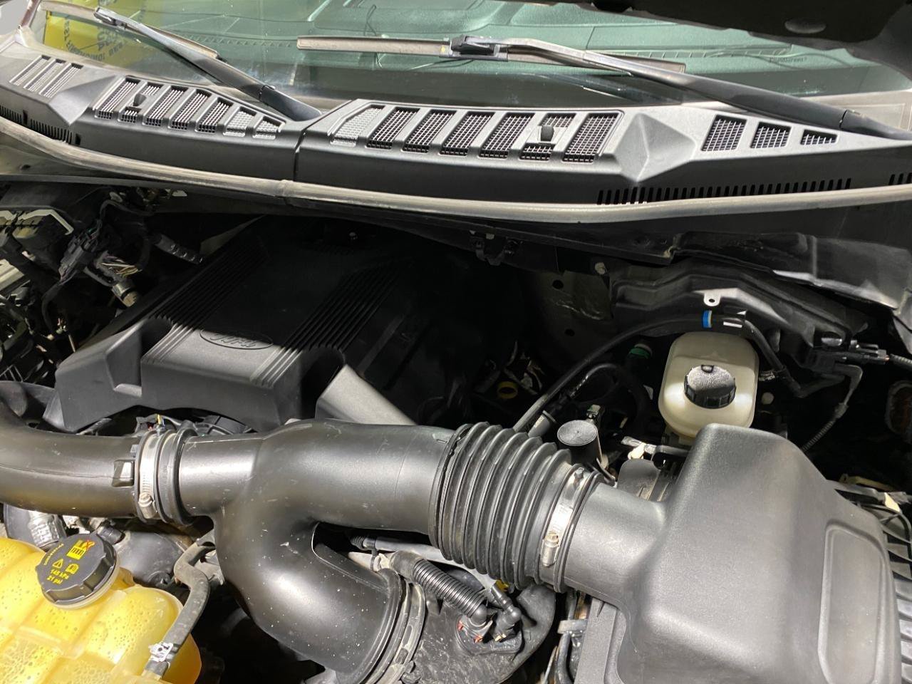 Used 2019 Ford F150 XLT w/ Equipment Group 302A Luxury AWD/4WD image 27