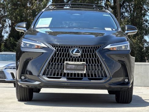 Certified 2024 Lexus NX 250 FWD w/ Cold Area Package image 5