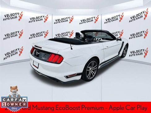 Used 2017 Ford Mustang Premium w/ Equipment Group 201A image 3