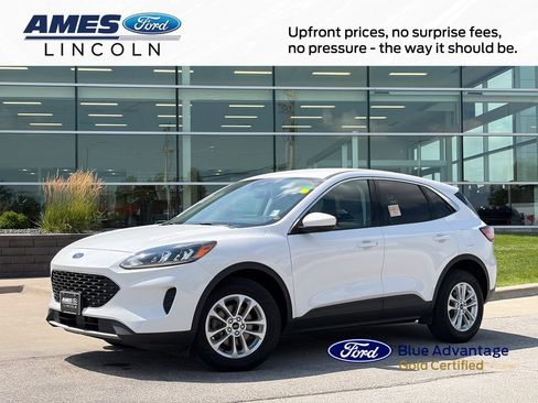Used 2021 Ford Escape SE AWD/4WD image 1