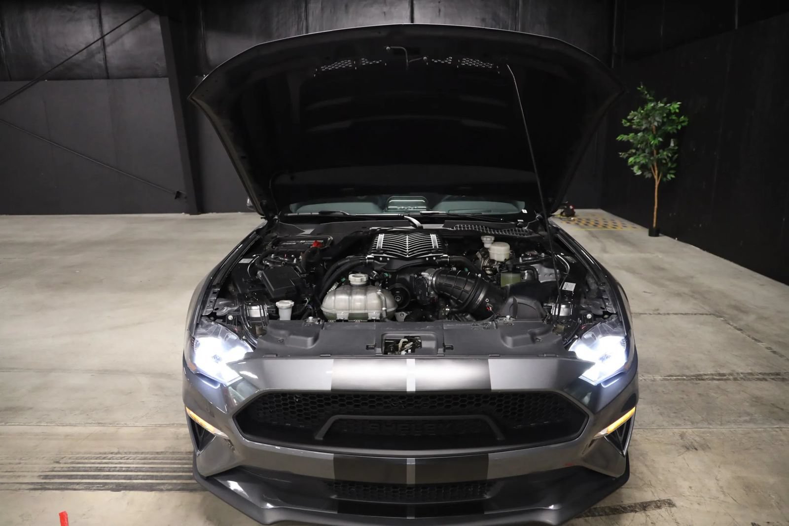 Used 2023 Ford Mustang GT Premium w/ Equipment Group 401A RWD image 16