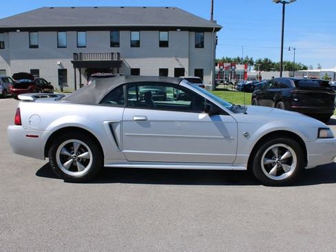 Used 2004 Ford Mustang Convertible RWD image 6