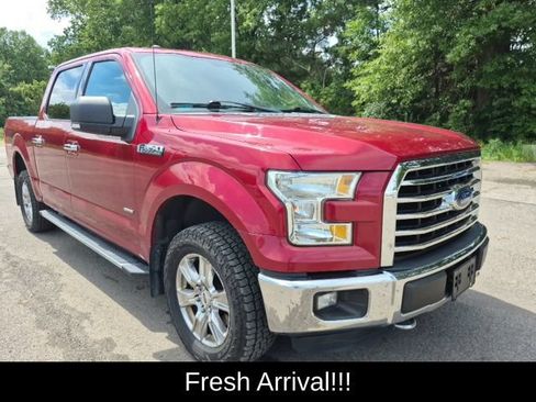 Used 2016 Ford F150 XLT w/ Equipment Group 301A Mid AWD/4WD image 4