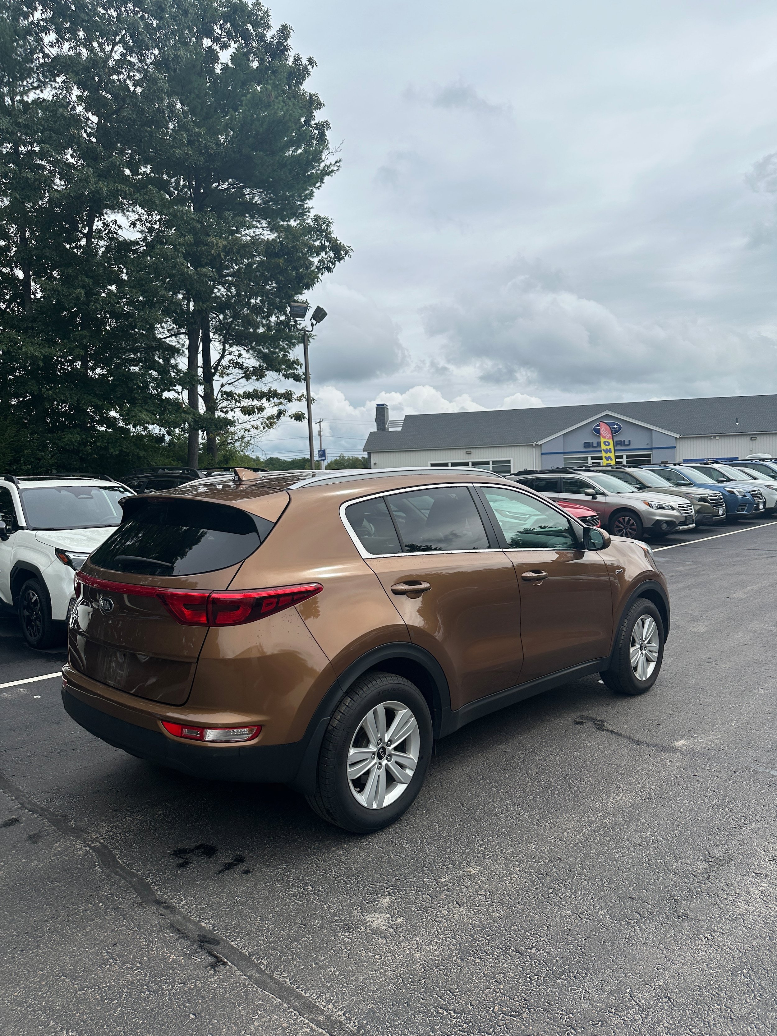 Used 2019 Kia Sportage LX w/ LX Popular Package AWD/4WD image 5