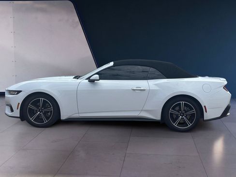 Used 2024 Ford Mustang Premium RWD image 2