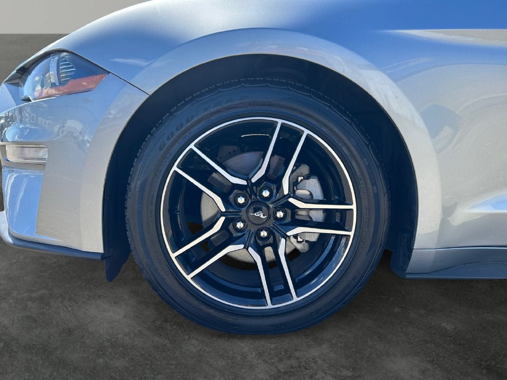 Used 2023 Ford Mustang Premium w/ Equipment Group 201A RWD image 5