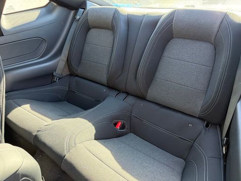 New 2026 Ford Mustang EcoBoost Fastback w/ Bronze Appearance Package image 8