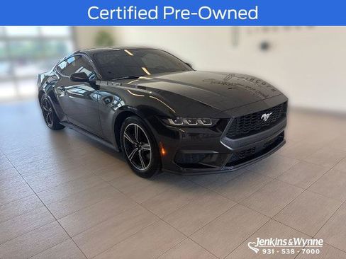Certified 2024 Ford Mustang Coupe RWD image 1