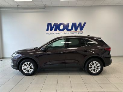 Used 2023 Ford Escape Active w/ Tech Pack #1