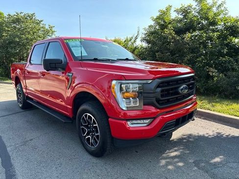 Used 2023 Ford F150 XLT w/ Equipment Group 302A High AWD/4WD image 1