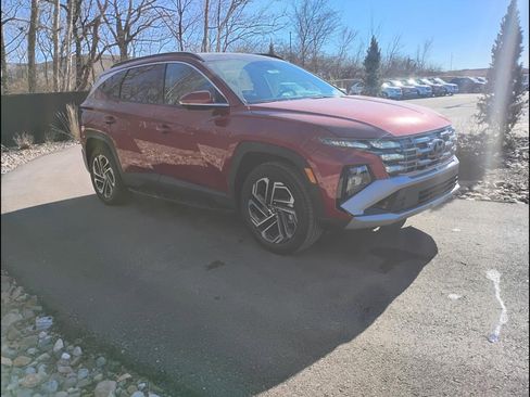 New 2026 Hyundai Tucson Limited AWD/4WD image 7