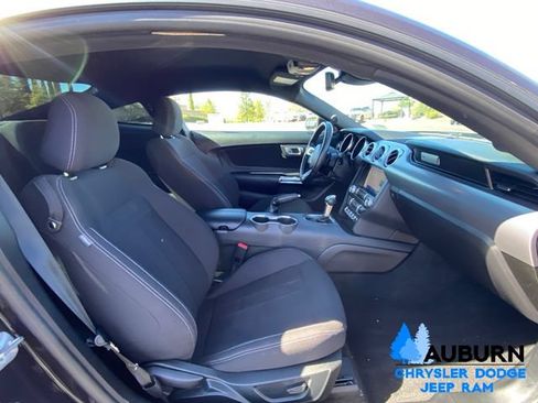 Used 2022 Ford Mustang GT w/ Equipment Group 301A RWD image 11