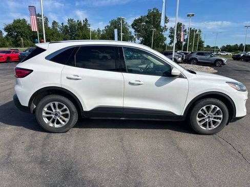 Used 2020 Ford Escape SE AWD/4WD image 4