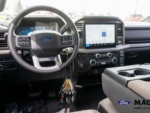 Used 2025 Ford F150 XLT w/ Equipment Group 301A Standard AWD/4WD image 11