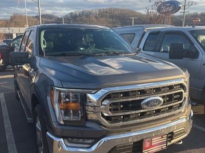 Used 2021 Ford F150 XLT w/ Equipment Group 302A High