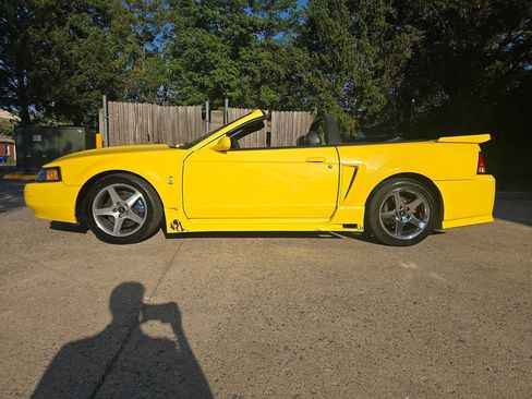 Used 2001 Ford Mustang Cobra RWD image 52
