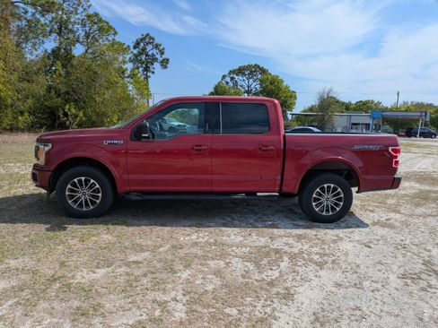 Used 2019 Ford F150 XLT w/ Equipment Group 302A Luxury AWD/4WD image 7
