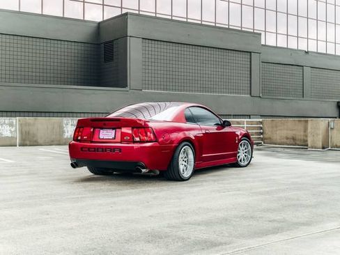 Used 2003 Ford Mustang Cobra RWD image 54