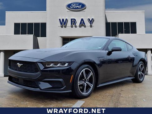 Used 2024 Ford Mustang Coupe image 1