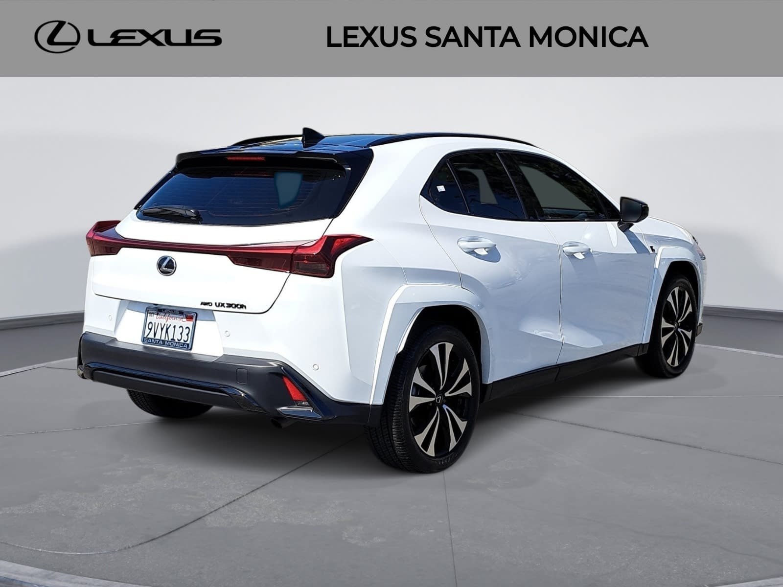Used 2025 Lexus UX 300h AWD w/ Cold Area Package image 5
