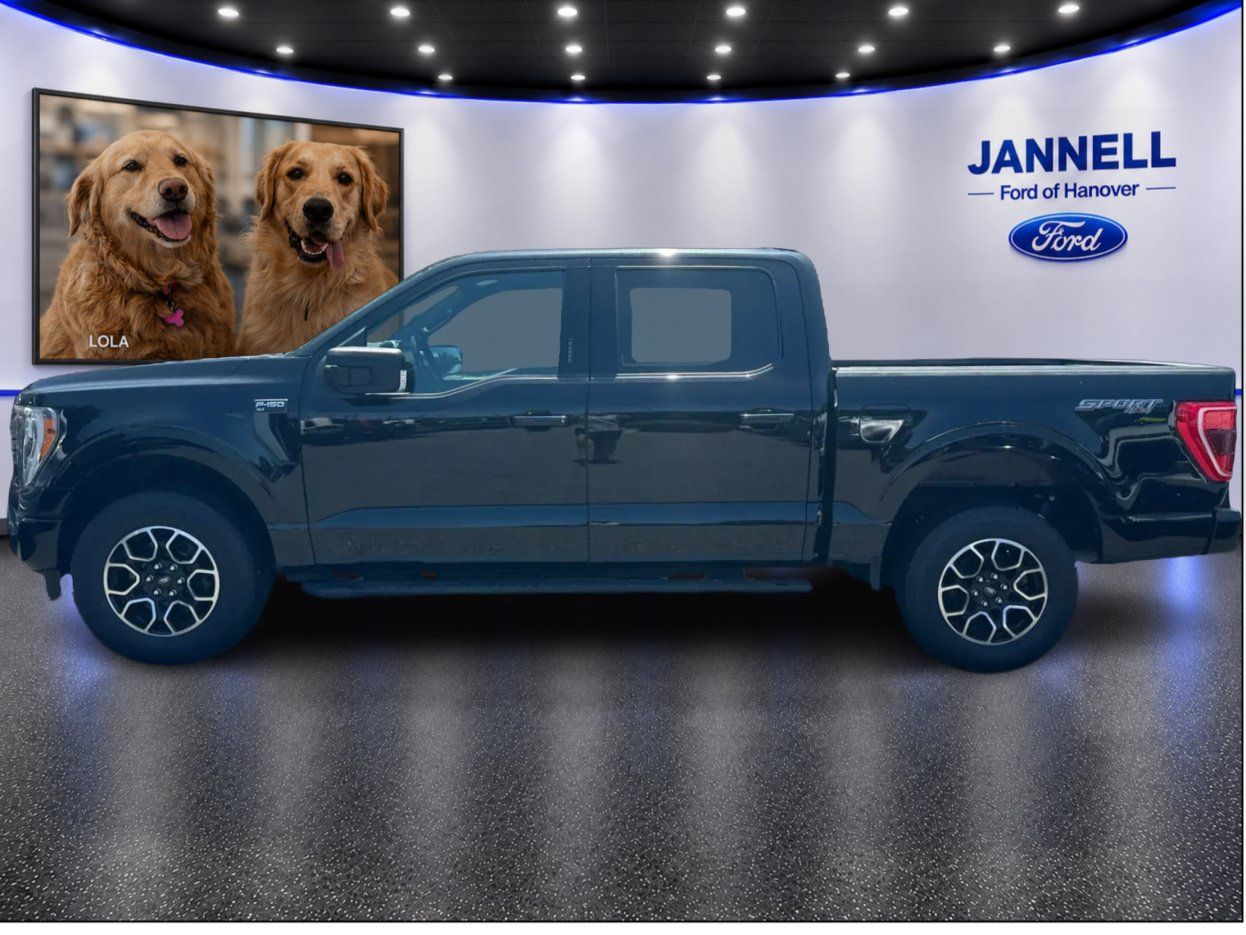 Used 2023 Ford F150 XLT w/ Equipment Group 302A High AWD/4WD image 9