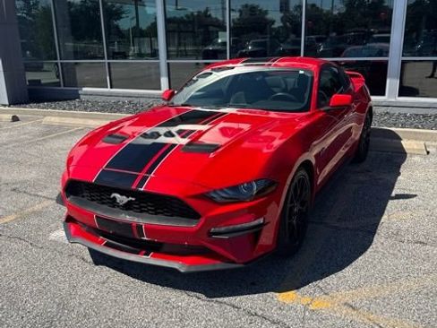 Used 2019 Ford Mustang Coupe w/ Ecoboost Performance Package RWD image 1