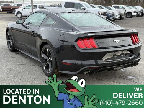Used 2019 Ford Mustang Coupe w/ Equipment Group 101A image 7