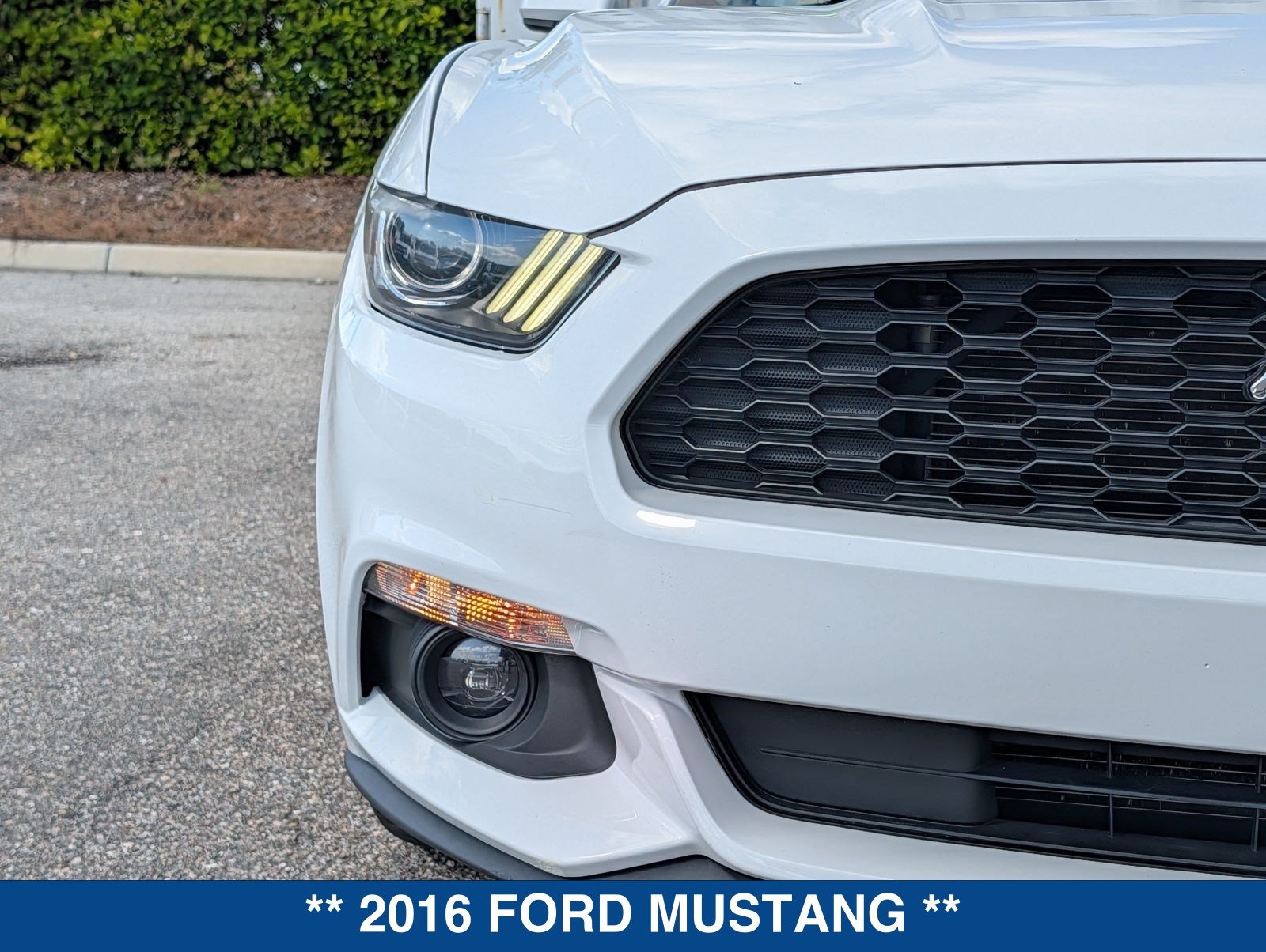Used 2016 Ford Mustang Convertible w/ Equipment Group 051A RWD image 10