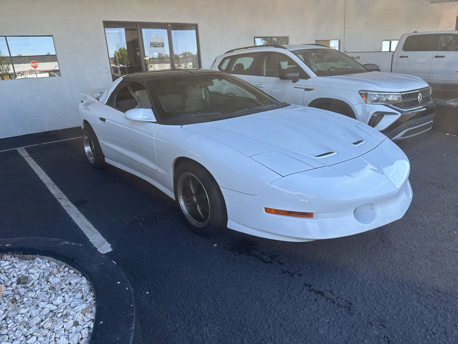 Used 1997 Pontiac Firebird Trans Am RWD image 3