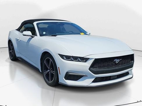 Certified 2024 Ford Mustang Premium RWD image 1