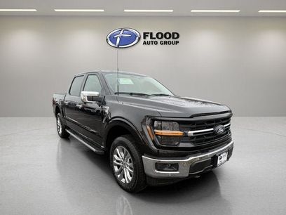New 2026 Ford F150 XLT w/ Equipment Group 303A High