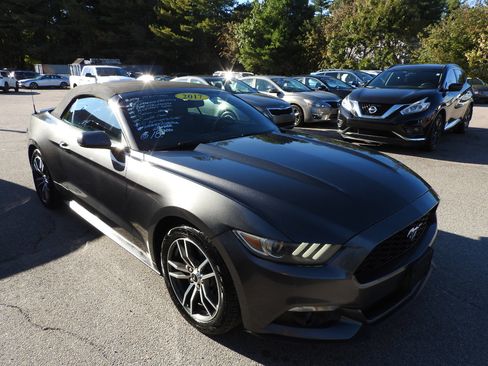 Used 2017 Ford Mustang Premium image 4