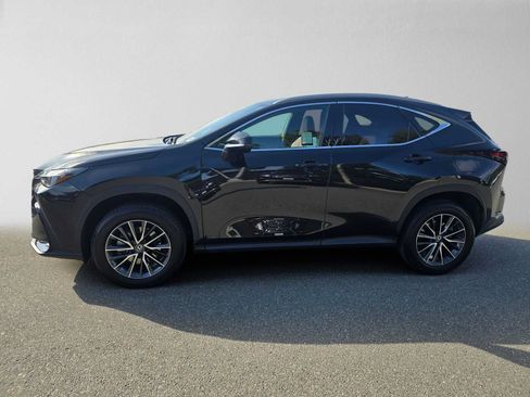 Certified 2025 Lexus NX 250 FWD image 6