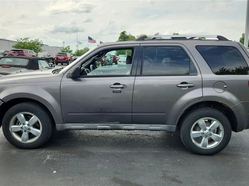 Used 2010 Ford Escape Limited AWD/4WD image 5