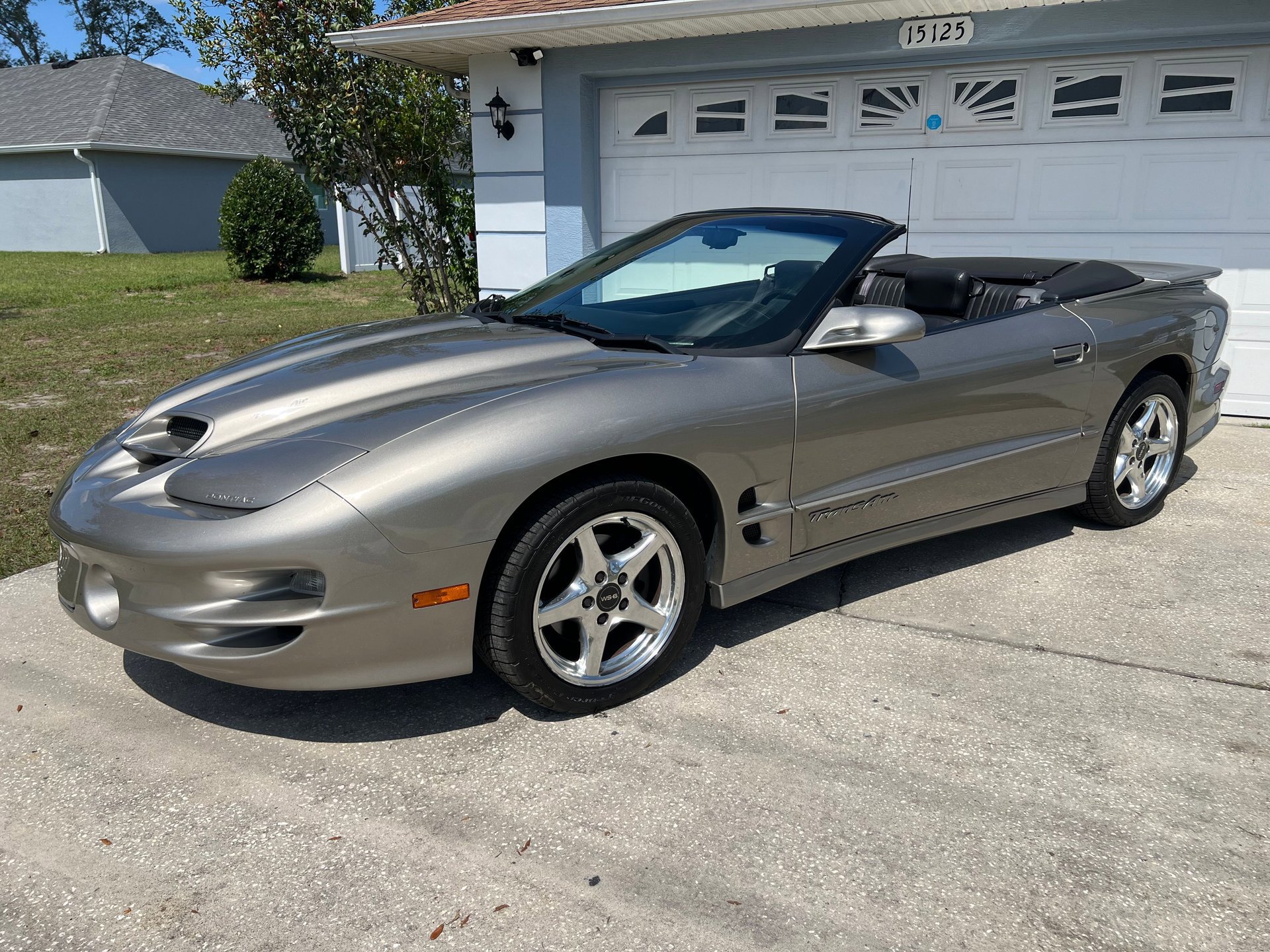 Used 2000 Pontiac Firebird Trans Am RWD image 1