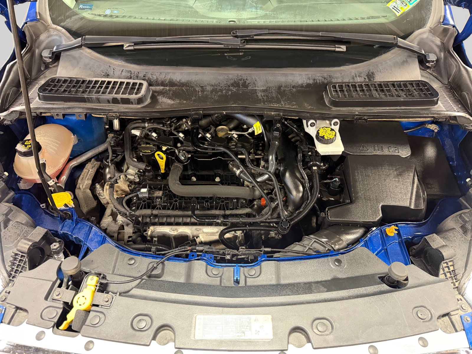 Used 2019 Ford Escape SE AWD/4WD image 25