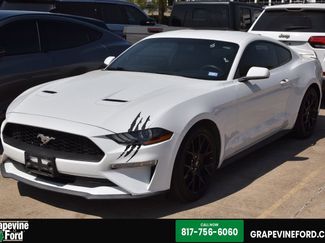 Used 2019 Ford Mustang Coupe w/ Ecoboost Performance Package video 1