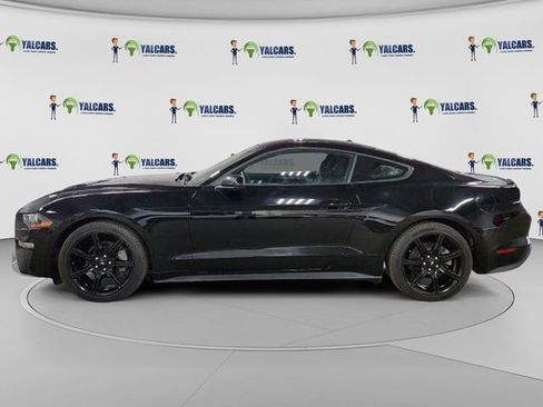 Used 2019 Ford Mustang Coupe w/ Equipment Group 101A image 2