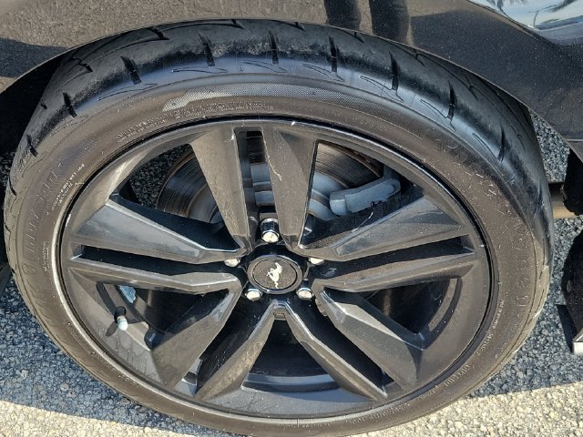 Used 2015 Ford Mustang Premium w/ Ecoboost Performance Package RWD image 7