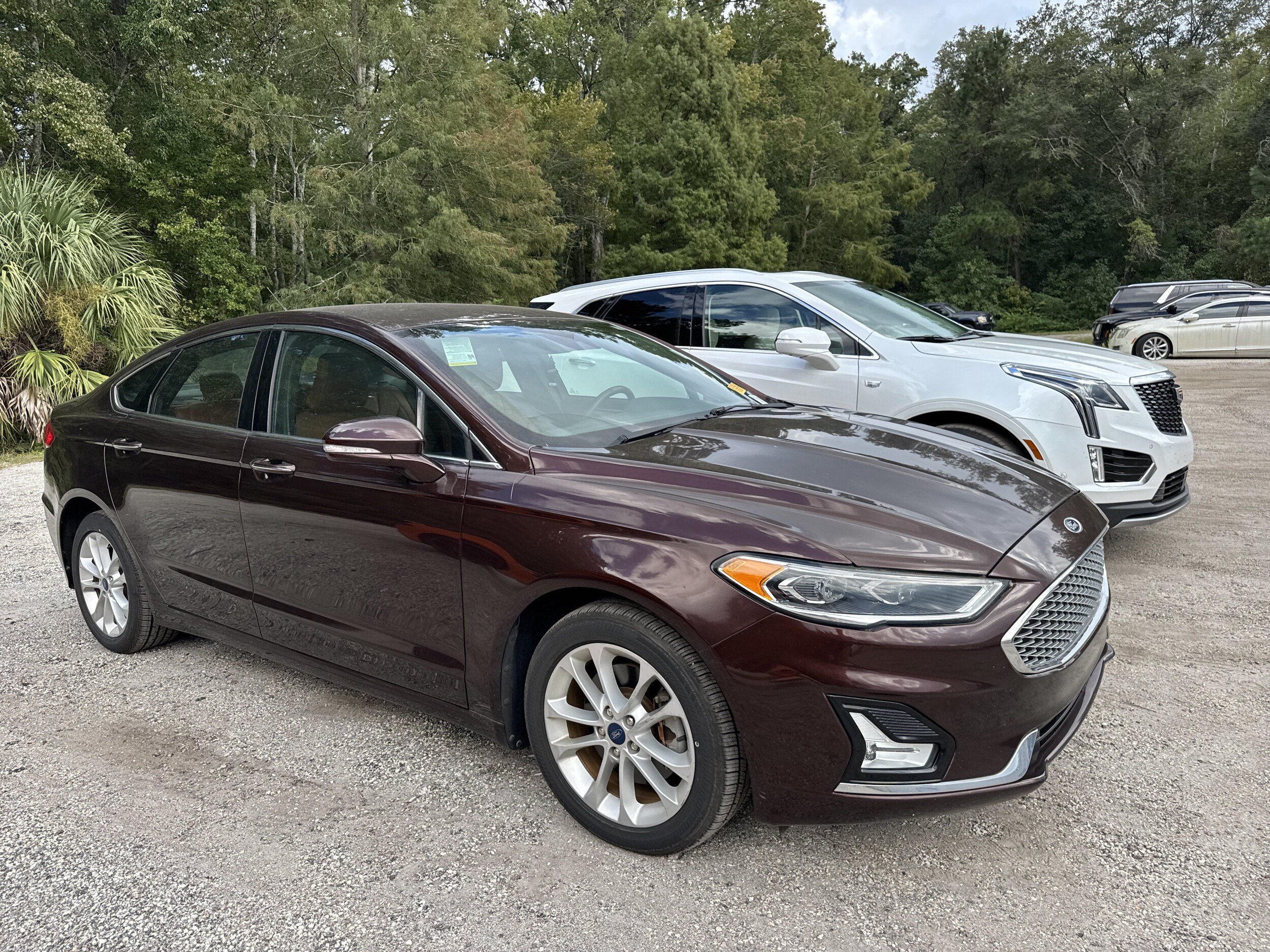 Used 2019 Ford Fusion Energi Titanium FWD image 4