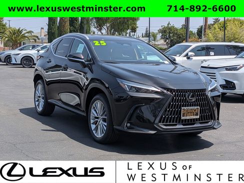 Certified 2025 Lexus NX 350h AWD w/ Cold Area Package image 3