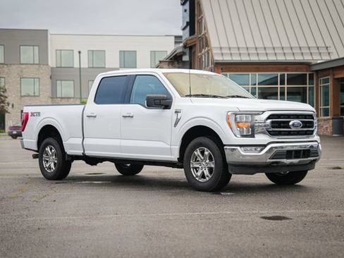 Used 2023 Ford F150 XLT w/ Equipment Group 302A High AWD/4WD image 1