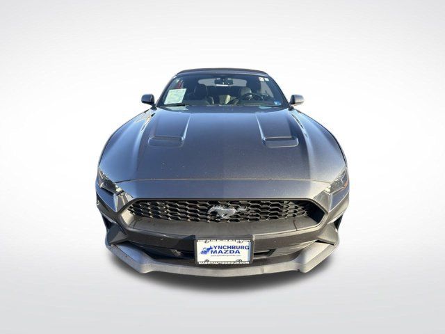 Used 2019 Ford Mustang Premium RWD image 8