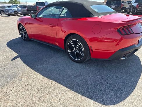 Used 2024 Ford Mustang Premium RWD image 4