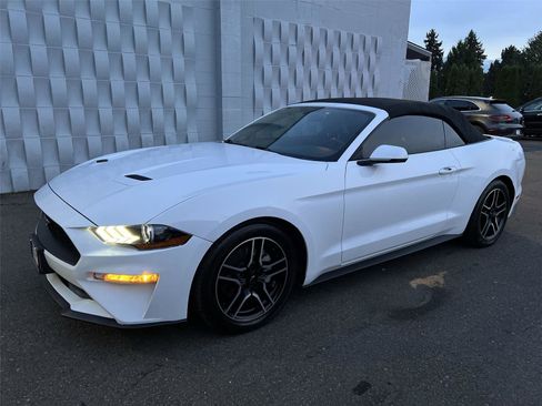 Used 2019 Ford Mustang Premium image 1