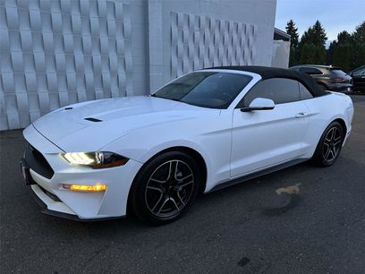 Used 2019 Ford Mustang Premium