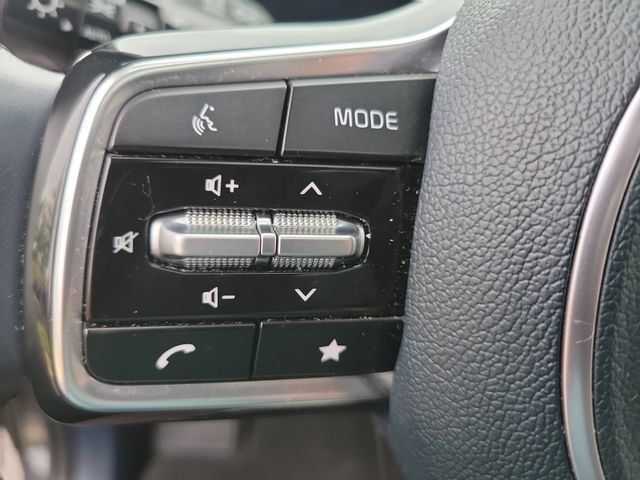 Certified 2025 Kia Carnival SX Prestige FWD image 32