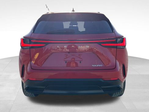 Used 2023 Lexus NX 250 250 Base image 7