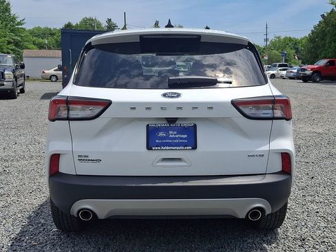 Used 2022 Ford Escape SE AWD/4WD image 6